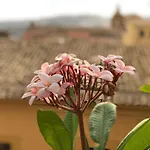 Terrazze Di Montelusa B&B